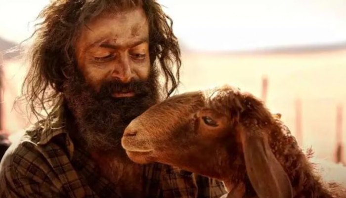 Aadujeevitham The Goat Life: ഹോളിവു‍ഡും ബോളിവുഡും ഞെട്ടി...! ബുക്കിങ്ങിൽ നമ്പർ 1 ''ആടുജീവിതം'' 