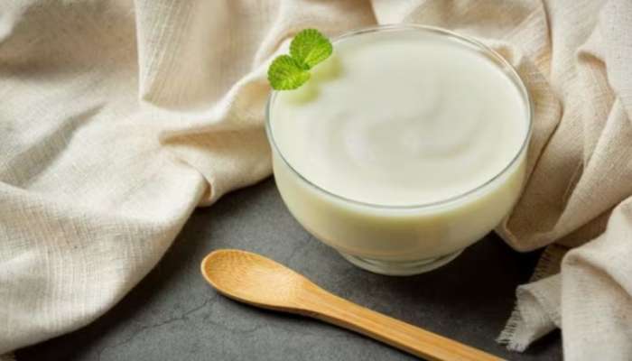 Curd Vs Yoghurt: തൈരും യോ​ഗർട്ടും തമ്മിൽ എന്താണ് വ്യത്യാസം? തടി കുറയ്ക്കാൻ ഇതിൽ ഏതാണ് നല്ലത്?