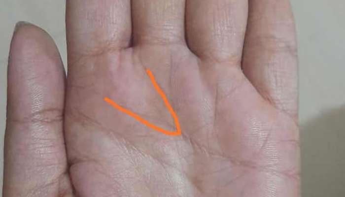 Palmistry: നിങ്ങളുടെ കൈകളിൽ ഈ രേഖയുണ്ടോ? ദാരിദ്ര്യം നീങ്ങി കോടീശ്വരന്മാരാകാൻ യോ​ഗം