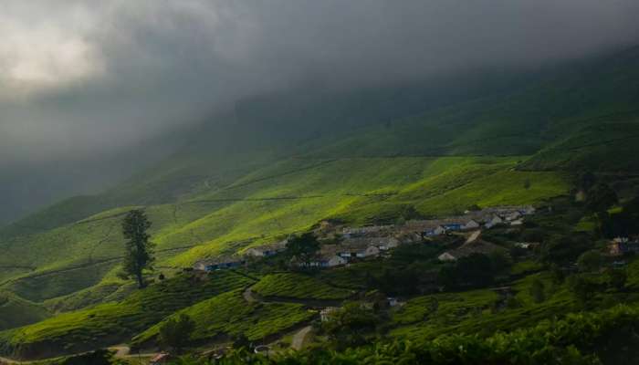 Restrictions in Ooty and Kodaikanal: മസിനഗുഡി വഴി ഊട്ടിയില്‍ പോകാന്‍ വരട്ടെ; സഞ്ചാരികള്‍ക്ക് നിയന്ത്രണം, ഇനി പാസ് വേണം