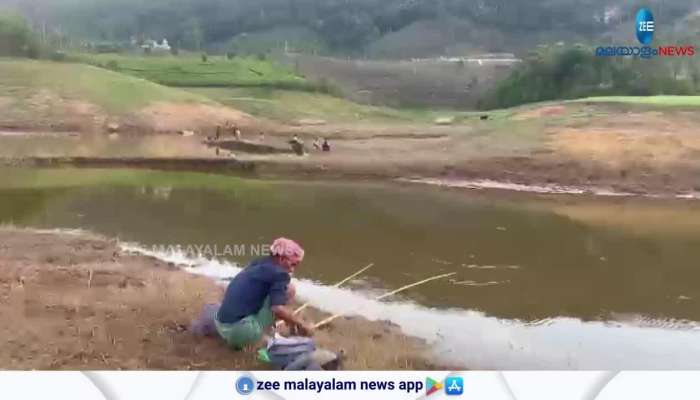 People stunned to see lots of fishes in Idukki