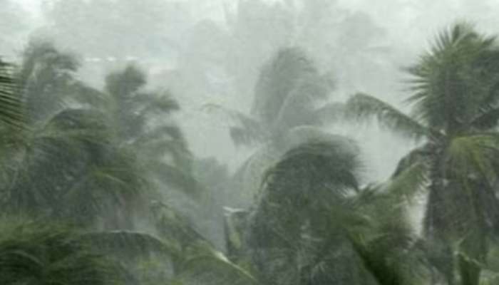 Rain Alert: ചൂടിന് ആശ്വാസം, കാലവർഷം നേരത്തെയെത്തും; ഒമ്പത് ജില്ലകളിൽ യെല്ലോ അലർട്ട്, ചിലയിടങ്ങളിൽ ശക്തമായ മഴയ്ക്ക് സാധ്യത