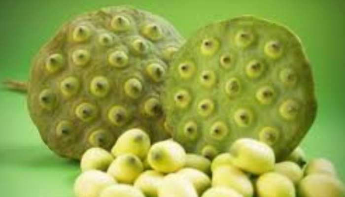 Water Lily Fruit Benefits: താമരയുടെ വിത്തിന് ആരോ​ഗ്യ ​ഗുണമുണ്ടോ? ഇത് ഭക്ഷ്യയോ​ഗ്യമാണോ? അറിയാം