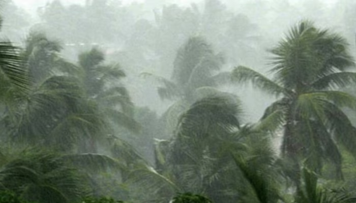 Kerala Weather: കേരളത്തിൽ മഴ കനക്കുന്നു; വിവിധ ജില്ലകളിൽ ഓറഞ്ച്, മഞ്ഞ അലർട്ടുകൾ പ്രഖ്യാപിച്ചിച്ചു