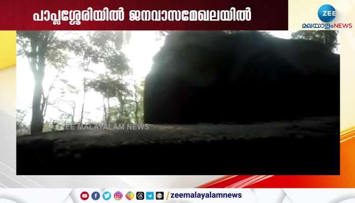 Wild Elephant spotted in Wayanad Paplassery residential area