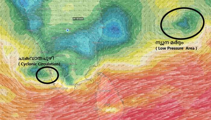 Kerala rain: പേമാരിയിൽ മുങ്ങി കേരളം; മഴ മുന്നറിയിപ്പിൽ മാറ്റം, ഇന്ന് 9 ജില്ലകളിൽ ഓറഞ്ച് അലർട്ട്