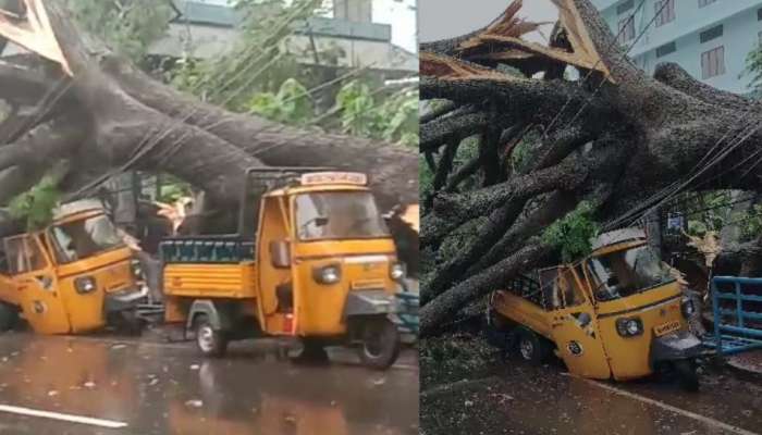 Kerala Rain Alert: ന്യൂനമർദ്ദം, കേരളത്തിൽ അഞ്ച് ദിവസം കൂടി മഴ തുടരും; കണ്ണൂർ വിമാനത്താവളത്തിന്റെ മതിൽ തകർന്നു