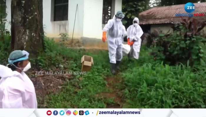 Birds in bird flu affected areas of ​​Kottayam were cremated scientifically