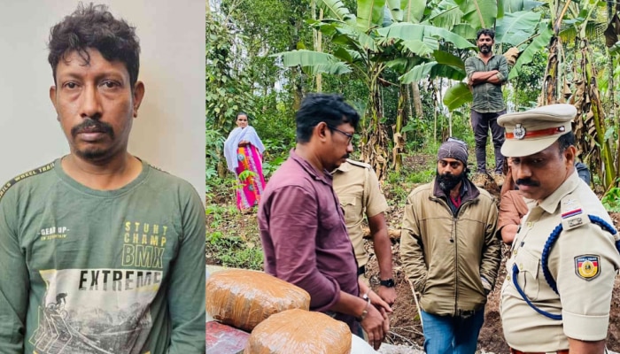 Ganja Seized in Idukki: രാമക്കൽമേട്ടിൽ വൻ കഞ്ചാവ് വേട്ട: പിടികൂടിയത് ഏഴര കിലോ കഞ്ചാവ് 