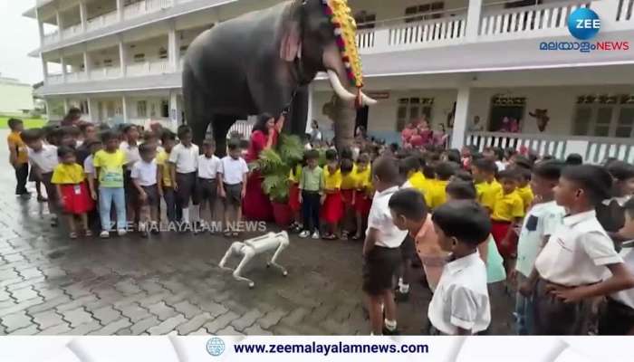 Robotic Elephant In School