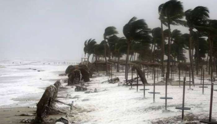 Kerala Weather: ഉയർന്ന തിരമാല ജാഗ്രത നിർദ്ദേശം; മത്സ്യബന്ധനത്തിന് പോകുന്നവർ ശ്രദ്ധിക്കുക