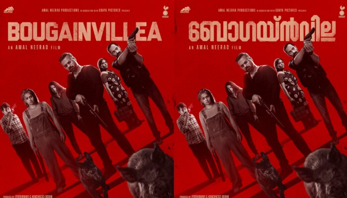 Bougainvillea: &#039;ബോ​ഗയ്ൻവില്ല&#039;; അമൽ നീരദ് ചിത്രത്തിന്റെ ടൈറ്റിൽ പോസ്റ്ററെത്തി
