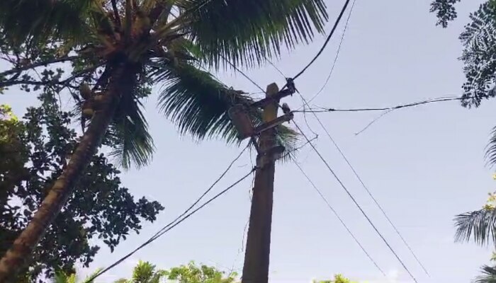 ഇരുമ്പ് തോട്ട ഇലക്ട്രിക് ലൈനിൽ തട്ടി വയോധിക മരിച്ചു