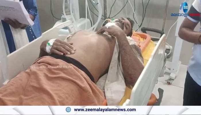 Auto driver injured in Elephant Attack