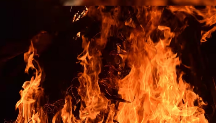 Idukki House Fire: ഇടുക്കിയിൽ 2 വീടുകൾക്ക് തീയിട്ടു; ആളപായമില്ല, പോലീസ് അന്വേഷണം തുടങ്ങി