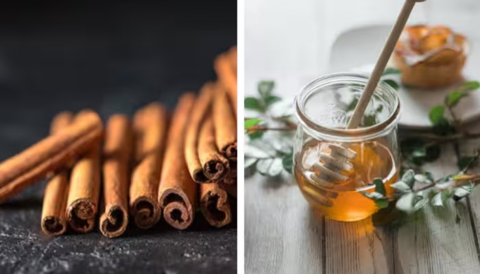 Cinnamon &amp; Honey Water: വെറുംവയറ്റിൽ തേനും കറുവപ്പട്ടയും ചേർത്ത വെള്ളം കുടിക്കാം! ആരോ​ഗ്യ​ഗുണങ്ങളേറെ