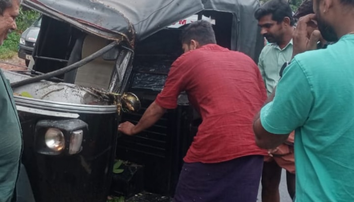 Adimaly Accident: ഓടികൊണ്ടിരുന്ന ഓട്ടോറിക്ഷയുടെ മുകളിലേക്ക് കൂറ്റന്‍ മരശിഖരം ഒടിഞ്ഞു വീണു; ആളപായമില്ല