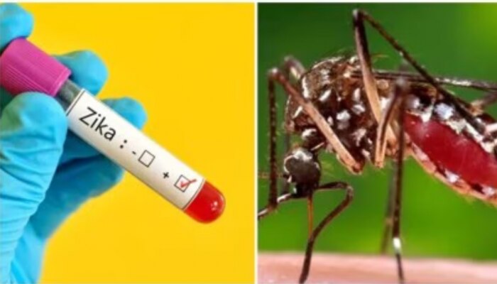 Zika Virus: മഹാരാഷ്ട്രയിൽ സിക്ക വൈറസ്; സംസ്ഥാനങ്ങൾക്ക് ജാ​ഗ്രതാ നിർദേശങ്ങളുമായി കേന്ദ്രം