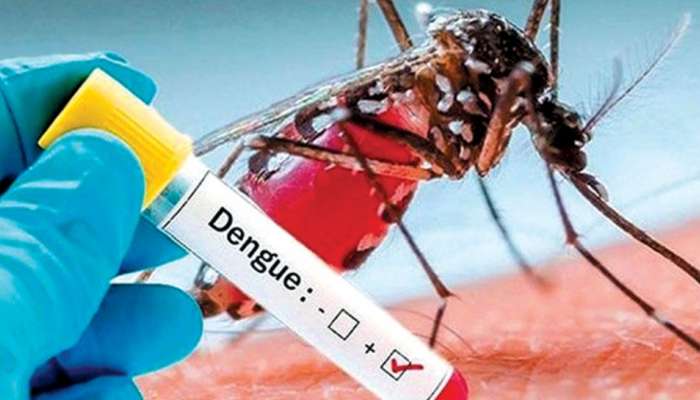 Kerala Health Department: സംസ്ഥാനത്ത് പകർച്ചവ്യാധി വ്യാപനം രൂക്ഷം; മൂന്ന് പനി മരണം കൂടി, 24 മണിക്കൂറിൽ 159 പേർക്ക് ഡെങ്കിപ്പനി, 42 പേർക്ക് എച്ച് 1 എൻ 1