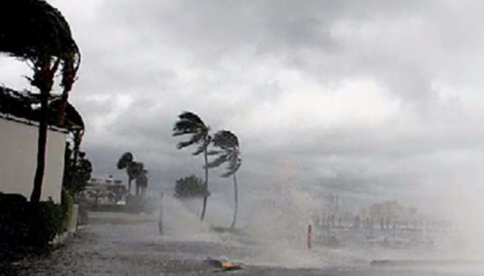 Kerala Weather: വരും മണിക്കൂറുകളിൽ ഈ ജില്ലകളിൽ ഇടിമിന്നലോട് കൂടിയ മഴ