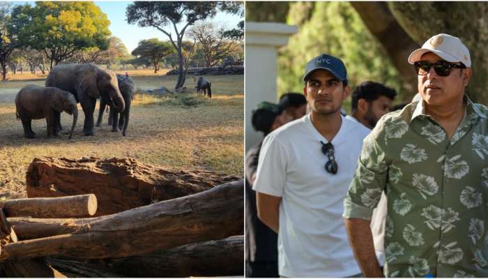 Wild Life Tour for Indian Team: ഹരാരെയിലെ വൈൽഡ് ലൈഫ് ആസ്വദിച്ച് ഇന്ത്യൻ ടീം; ചിത്രങ്ങൾ കാണാം