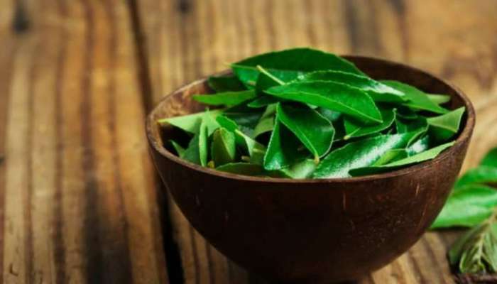 Curry Leaves: ഭക്ഷണത്തിൽ നിന്ന് കറിവേപ്പില എടുത്ത് കളയാൻ വരട്ടെ! ഈ ​ഗുണങ്ങൾ അറിഞ്ഞാൽ നിങ്ങൾ ഞെട്ടും!