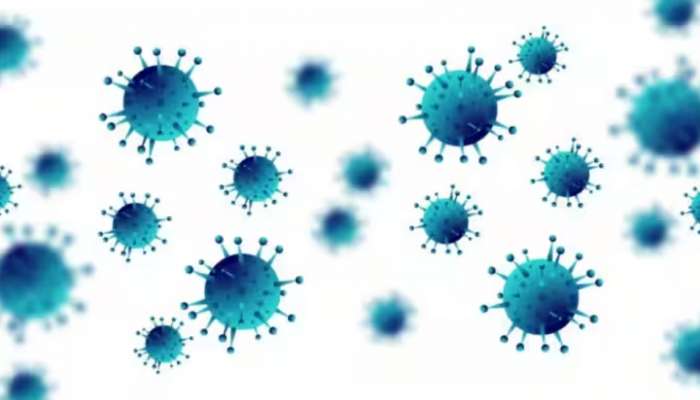 Chandipura Virus: ഗുജറാത്തിൽ ആറുപേരുടെ മരണത്തിനിടയാക്കിയ വൈറസ്, ബാധിക്കുന്നത് നാഡീവ്യൂഹത്തെ; എന്താണ് ചന്ദിപുര വൈറസ്?