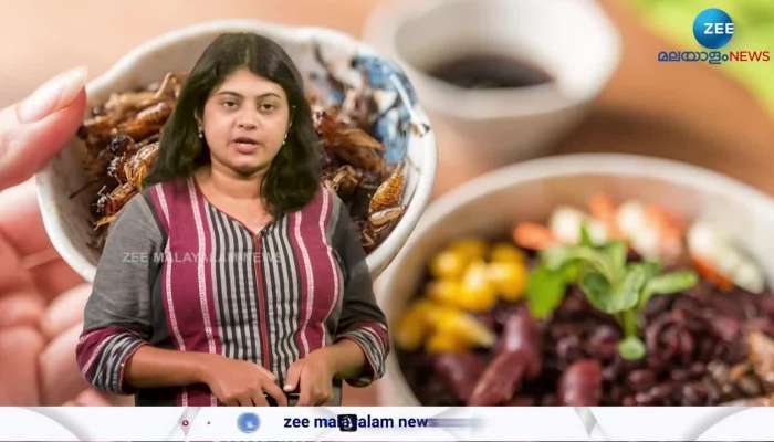 Singapore has approved 16 insects to eat as food