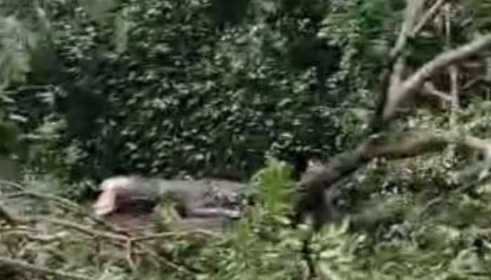 Kerala Rain: കോഴിക്കോട് മിന്നല്‍ ചുഴലിക്കാറ്റ്; കനത്ത നാശം, അഞ്ച് വീടുകള്‍ തകര്‍ന്നു