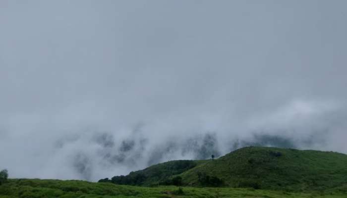 Ponmudi: പ്രതികൂല കാലാവസ്ഥ; പൊന്മുടിയിലേക്ക് പ്രവേശനം നിരോധിച്ചു