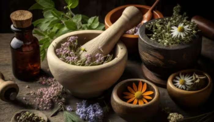 Ayurveda Benefits: ആരോ​ഗ്യം മികച്ചതാക്കാൻ ആയുർവേദം; അറിയാം ഇക്കാര്യങ്ങൾ