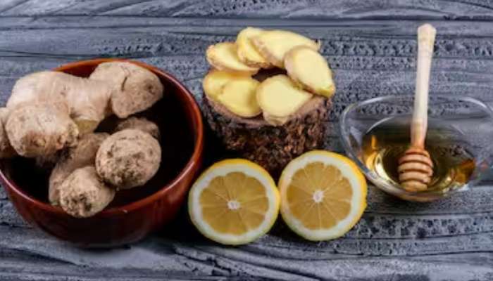 Ayurvedic Home Remedies: മഴക്കാലത്ത് രോഗപ്രതിരോധശേഷി വർധിപ്പിക്കാം... ഈ ആയുർവേദ പ്രതിവിധികൾ മികച്ചത്