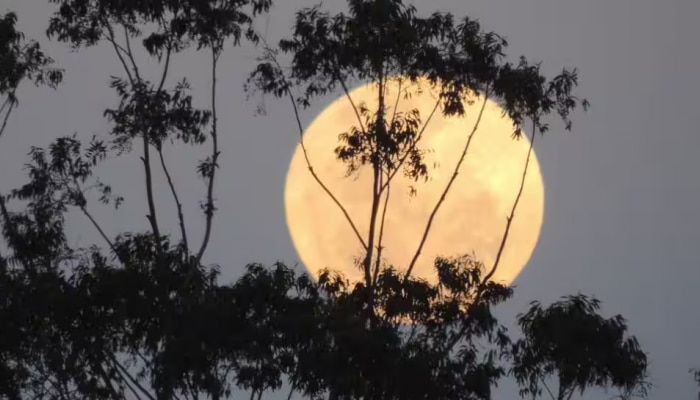 Super Moon Blue Moon: ഡബിൾ ധമാക്ക; ചാന്ദ്ര വിസമയം തീർക്കാൻ സൂപ്പര്‍ മൂണ്‍ ബ്ലൂ മൂണ്‍ സം​ഗമം