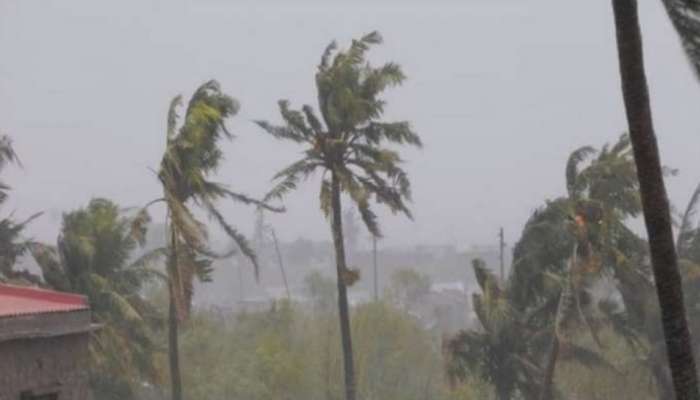 Kerala rain alert: ഇന്ന് സംസ്ഥാന വ്യാപക മഴ; 10 ജില്ലകളിൽ യെല്ലോ അലർട്ട് പ്രഖ്യാപിച്ചു