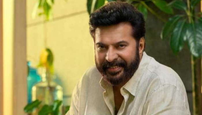 Mammootty: 'സിനിമയിൽ ഒരു ശക്തികേന്ദ്രവും ഇല്ല'; ഹേമ കമ്മിറ്റി റിപ്പോർട്ടിൽ ആദ്യമായി പ്രതികരിച്ച് മമ്മൂട്ടി