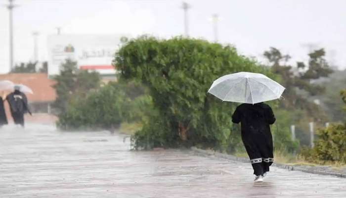 Saudi Rain Alert: സൗദിയിൽ വ്യാപക മഴയ്ക്ക് സാധ്യതയെന്ന്  കാലാവസ്ഥാ നിരീക്ഷണ കേന്ദ്രം  