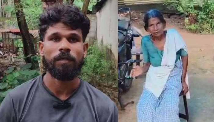 Crime News: വീടിന് നേരെ ഗുണ്ടാ ആക്രമണം; വൃദ്ധയെയും കൊച്ചുമകനെയും ആക്രമിച്ചു