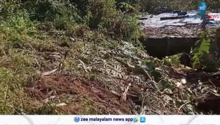 Munnar Wild Life Attacks