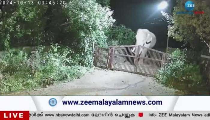 Kerala Assembly Bypolls 2024