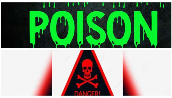 Sarin Gas: സരിന്‍ കൊടും വിഷം! സയനഡിനേക്കാള്‍ 26 ഇരട്ടി അപകടകരം... പക്ഷേ ഈ സരിന്‍ &#039;പി സരിന്‍&#039; അല്ല