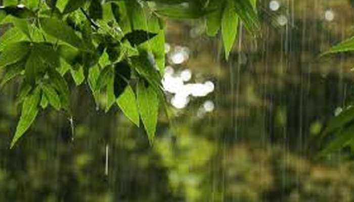 Kerala Rain Alert: സംസ്ഥാനത്ത് ഇന്നും ശക്തമായ മഴയ്ക്ക് ശമനം; 3 ദിവസത്തേക്ക് പ്രത്യേക മുന്നറിയിപ്പില്ല!