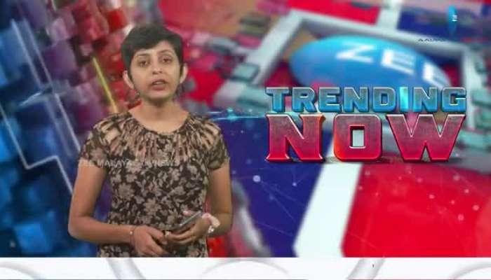 US election 2024 Donald Trump wins presidency