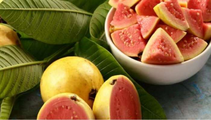 Guava Health Benefits: അമ്പമ്പോ പേരയ്ക്ക ഇത്ര പവർഫുളായിരുന്നോ? ​ഗുണങ്ങൾ അറിയണ്ടേ!