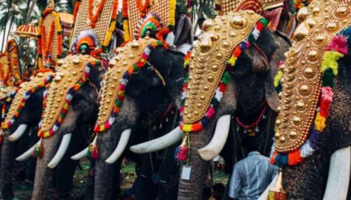 Uthralikavu Pooram: ആന എഴുന്നള്ളിപ്പിലെ ഹൈക്കോടതി മാർഗനിർദേശങ്ങൾ; പ്രമേയം പാസാക്കി ഉത്രാളിക്കാവ് കോർഡിനേഷൻ കമ്മിറ്റി