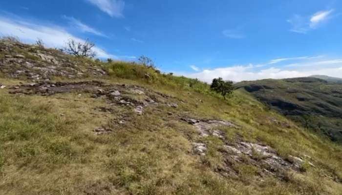 Land Encroachment Idukki: ഇടുക്കിയിൽ റവന്യൂ പുറമ്പോക്ക് ഭൂമിയിൽ വ്യാപക കയ്യേറ്റം; രണ്ട് ഏക്കറിൽ അധികം ഭൂമി സ്വകാര്യ വ്യക്തികൾ കയ്യേറി