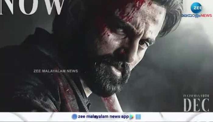 Marco Box Office Collection