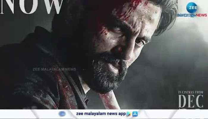 Marco Box Office Collection