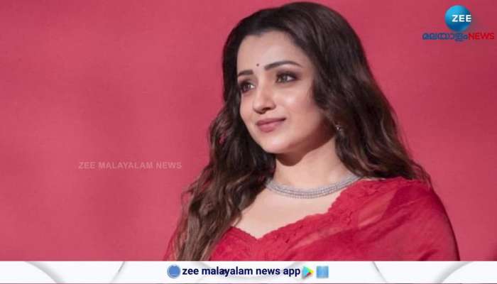 Trishas mother said that nothing being spread is true trisha is not into politics