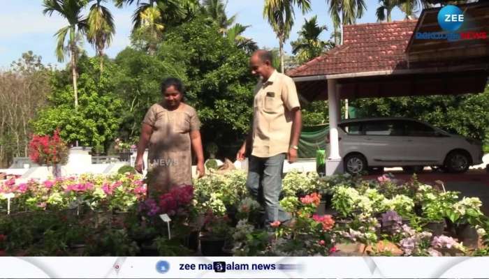 Kochi bougainvillea farm in Kothamangalam