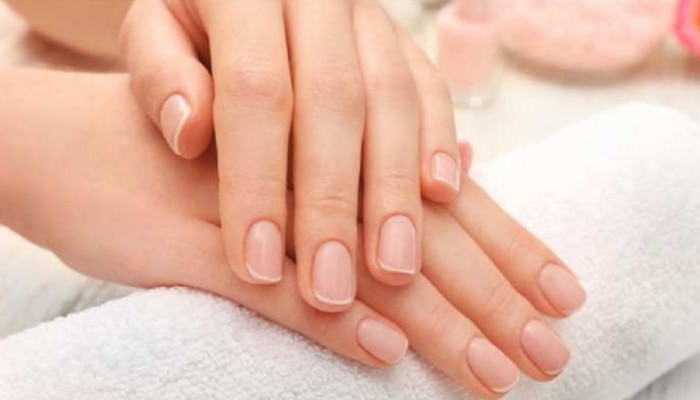 Foods For Nail Health: സുന്ദരമായ നഖം വേണോ? ഈ ഭക്ഷണങ്ങൾ ഡയറ്റിൽ ഉൾപ്പെടുത്താം...